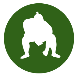256x256 Sumo Icons To Download