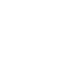256x256 White Sun Icon