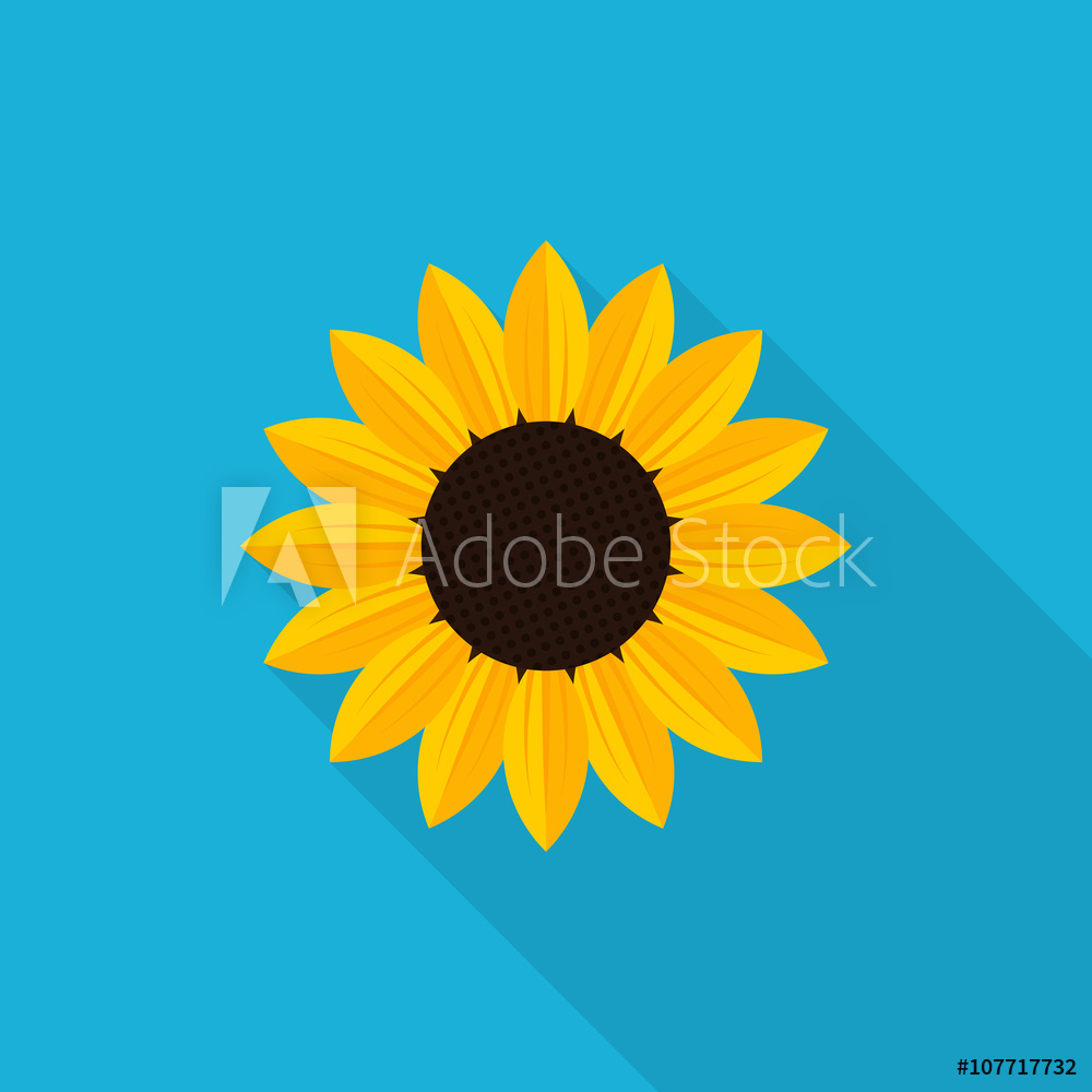 1000x1000 Photo Art Print Sunflower Icon With Long Shadow, Flat Style