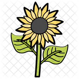 256x256 Sunflower Icon Of Doodle Style