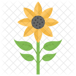 256x256 Sunflower Icon Of Flat Style