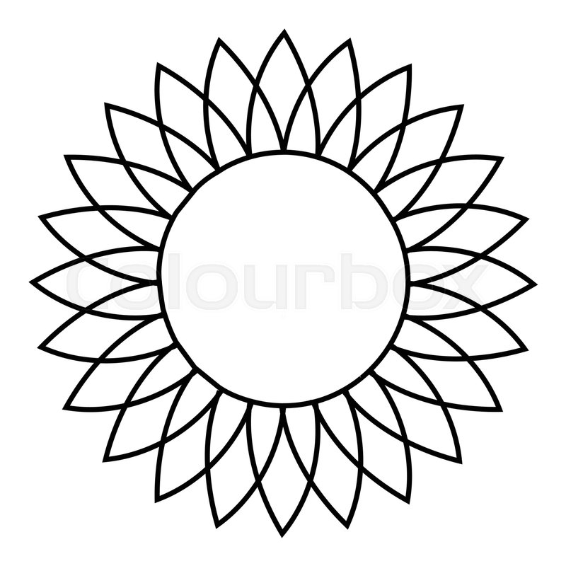 800x800 Sunflower Icon Outline Illustration Stock Vector Colourbox