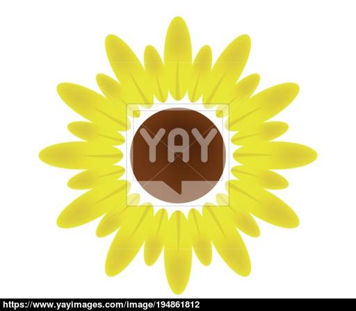 512x448 Sunflower Icon Vector