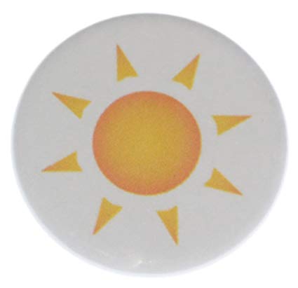 425x411 Sunshine Icon Magnet