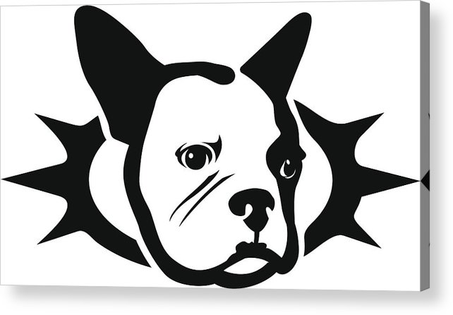 642x446 French Bulldog Superstar Icon Acrylic Print