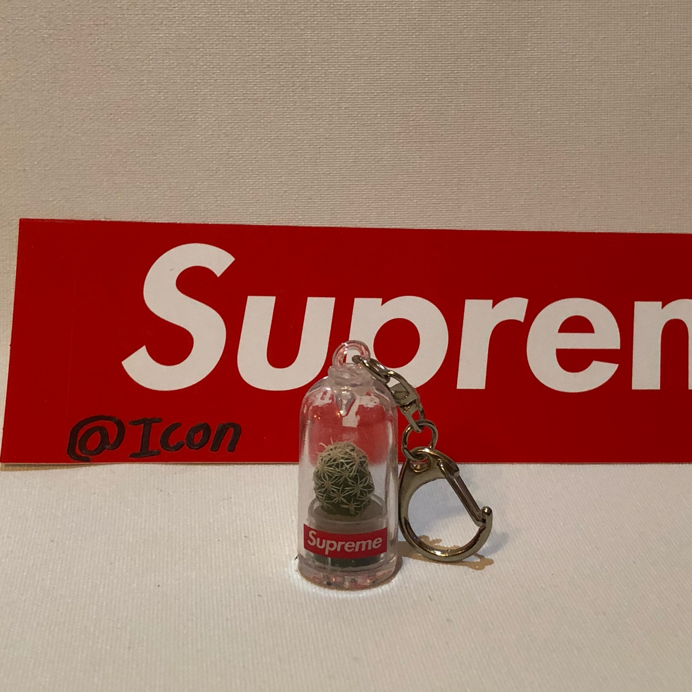 2250x2250 Supreme Cactus Keychain Ds