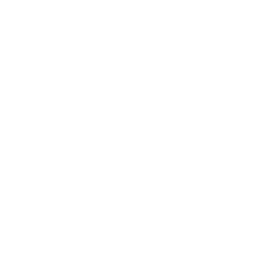 256x256 Survival Gta Wiki Fandom Powered