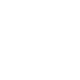 256x256 White Survival Bag Icon