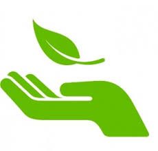 230x220 Best Icons Sustainability Growth Images In Icon Set
