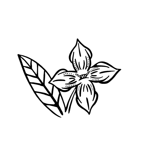 472x511 Flower Swamp Icon Arutza Studio