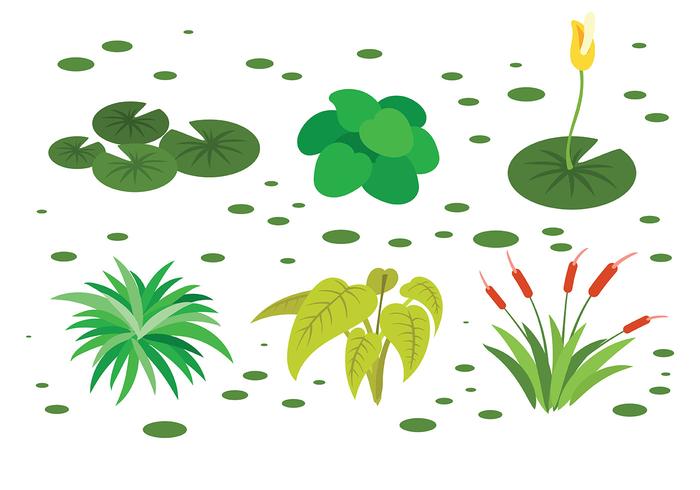 700x490 Free Swamp Icons Vector