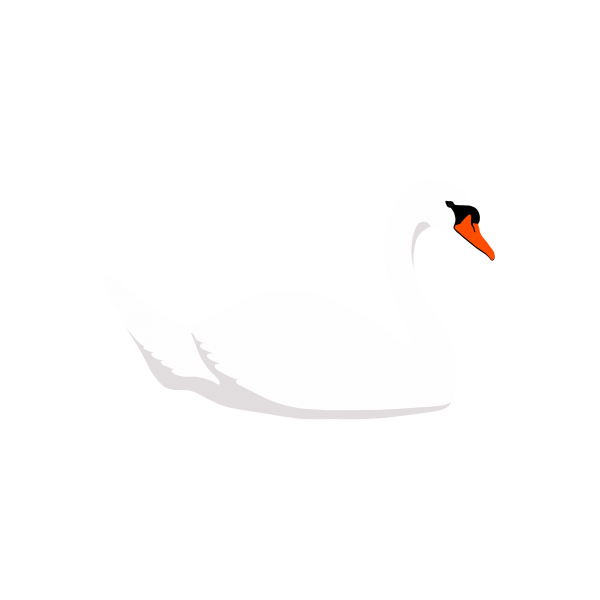 Download Swan Png Transparent Images Transparent Backgrounds 600x600 Download Swan Png Transparent Images Transparent Backgrounds
