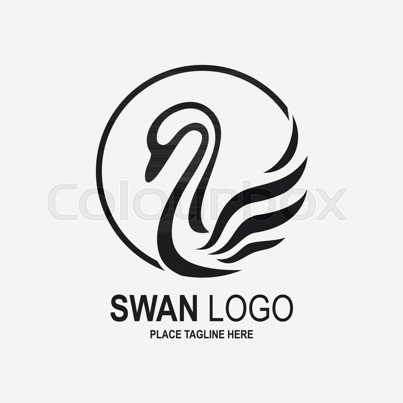 Illustration Of Swan Icon Design Stock Vector Colourbox 800x800 Illustration Of Swan Icon Design Stock Vector Colourbox