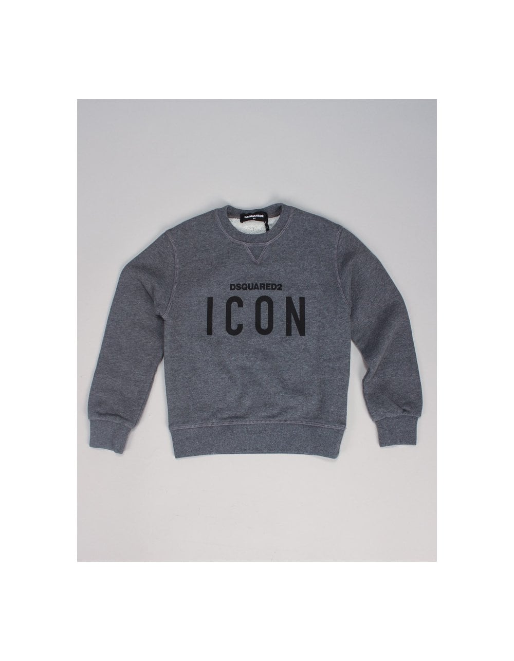 1000x1286 Icon Sweatshirt