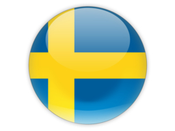 256x192 Sweden Flag Icon Vector