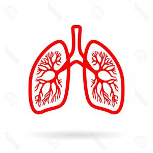 300x300 Photostock Vector Illustration Of Human Lungs Outline And Lung