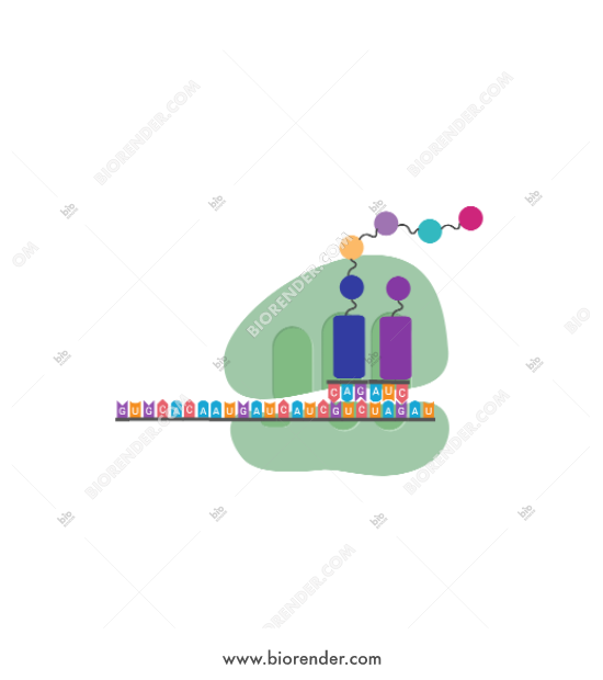 Synthesis Icon at Vectorified.com | Collection of Synthesis Icon free ...