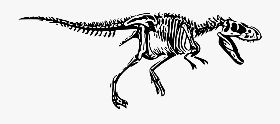 920x407 T Rex Tyrannosaurus Free Image Icon