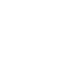 256x256 White T Shirt Icon
