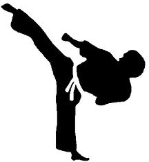 216x234 Taekwondo Icon