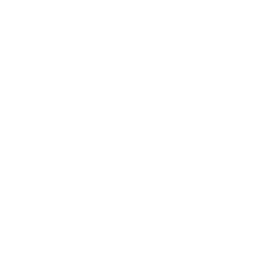 256x256 White Tag Icon