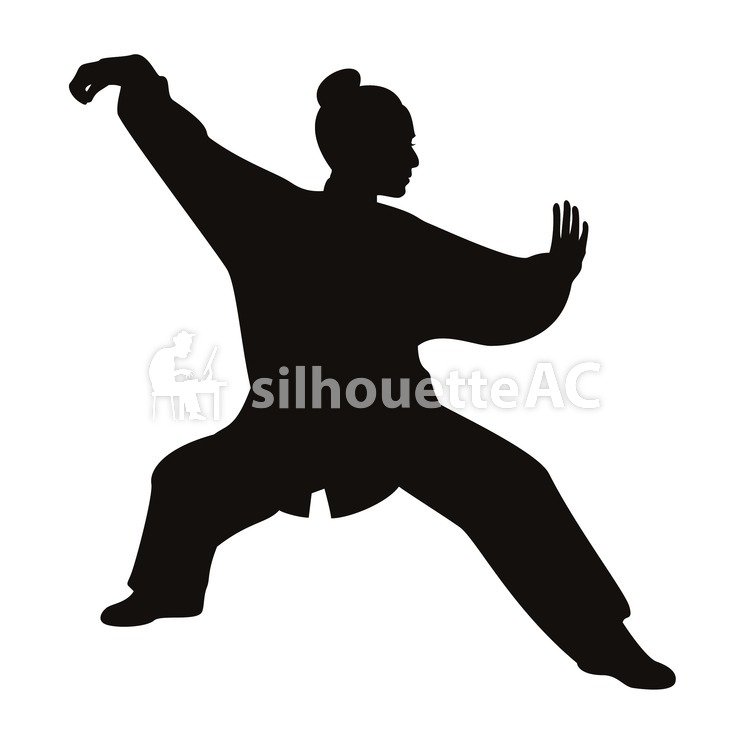750x750 Free Silhouette Vector Icon Kung Fu Simple