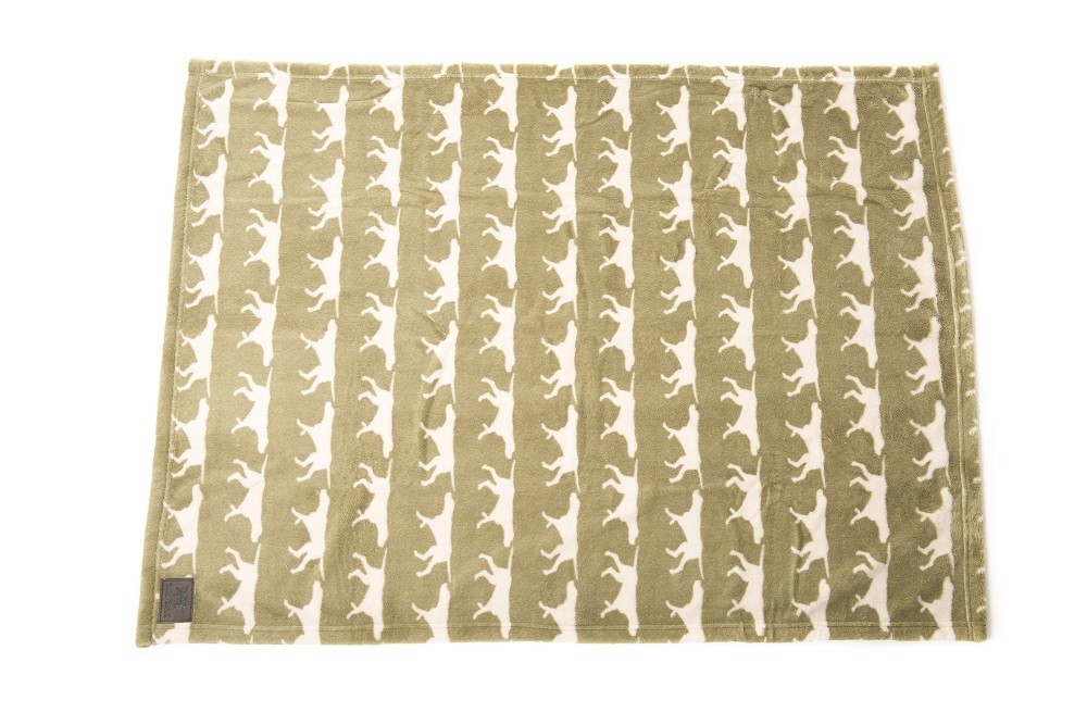 1000x667 Tall Tails Icon Dog Blanket Green Petbarn