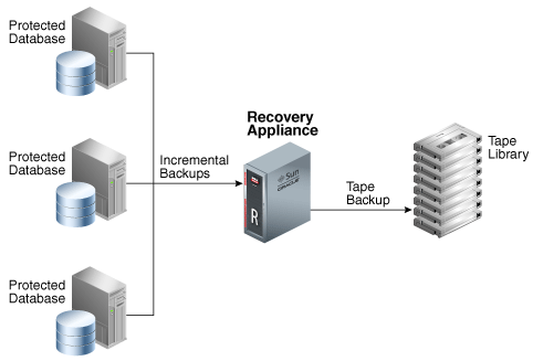 482x327 Introduction To Recovery Appliance