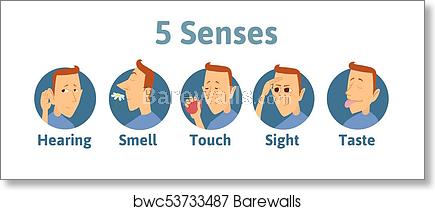 435x210 Set Of Five Human Senses Icon Hearing, Smell, Touch, Vision