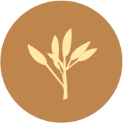 175x175 Home Tcmtrend