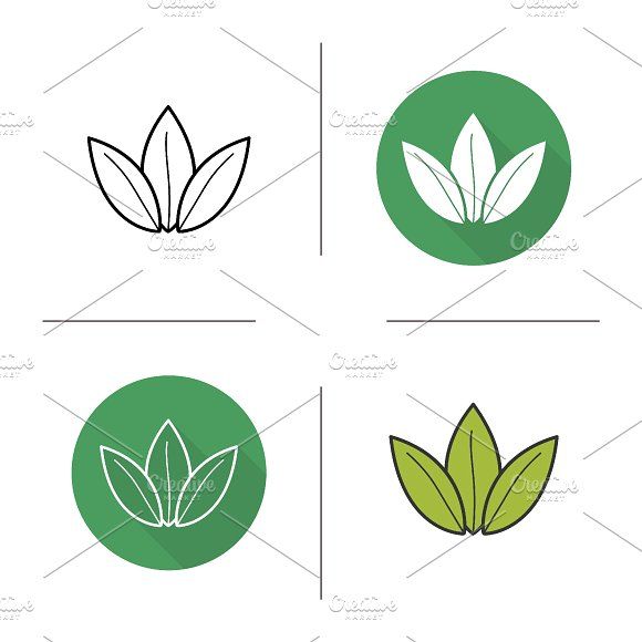 580x580 Green Tea Leaves Icons Vector
