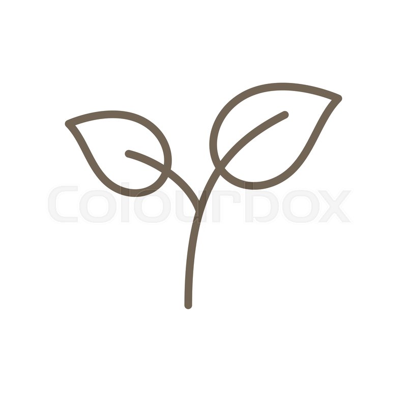 800x800 Green Tea Leaves Vector Icon, Line Stock Vector Colourbox