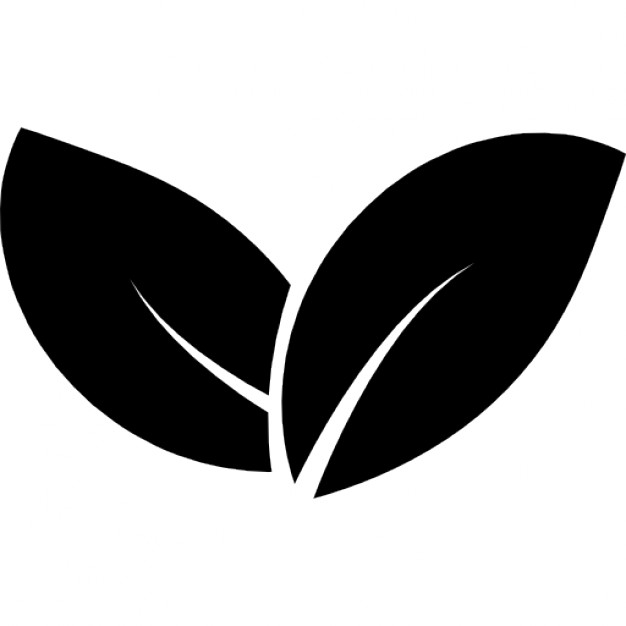 626x626 Leaf Icon Png