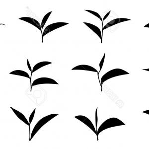 300x300 Photostock Vector Tea Leaf And Bags Icons Set On White Background