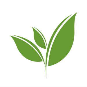 300x300 Tea Leaf Icon