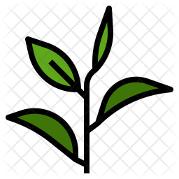 256x256 Green Tea Icon Of Colored Outline Style