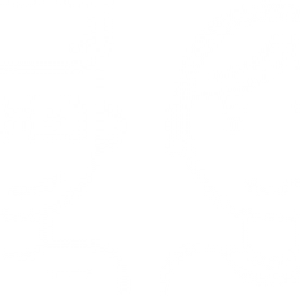 300x300 Megan Henderson Teenager Icon White