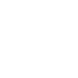 256x256 White Temperature Icon