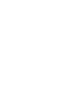 243x280 High Elf