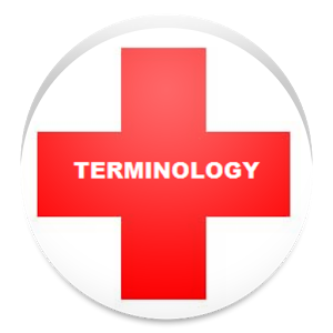 300x300 Medical Terminology Apk