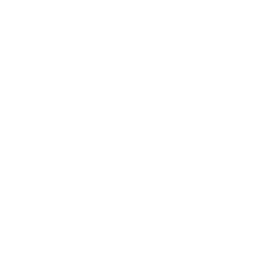 256x256 White Test Tube Icon