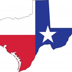 300x300 Bandit Texas Flag Icon Vector Createmepink