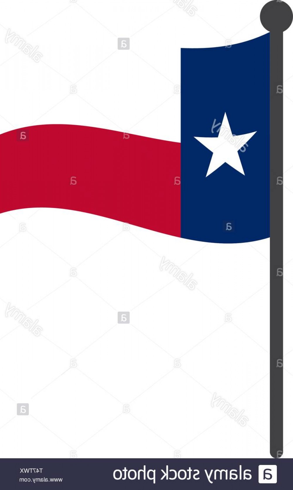 1000x1668 Texas Flag With Pole Icon Vector Isolated On White Background