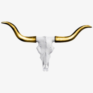 310x310 Texas Longhorn Head Icon