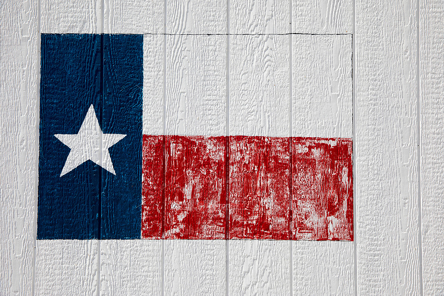 880x587 Texas Lone Star Icon
