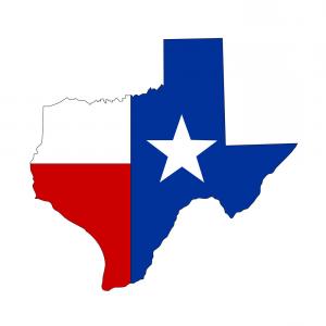 Texas State Icon at Vectorified.com | Collection of Texas State Icon ...