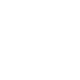 256x256 Free White Sms Icon