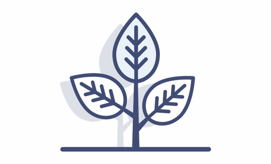 920x556 Thanks A Bunch We'll Get Back To You With Our Recommendations