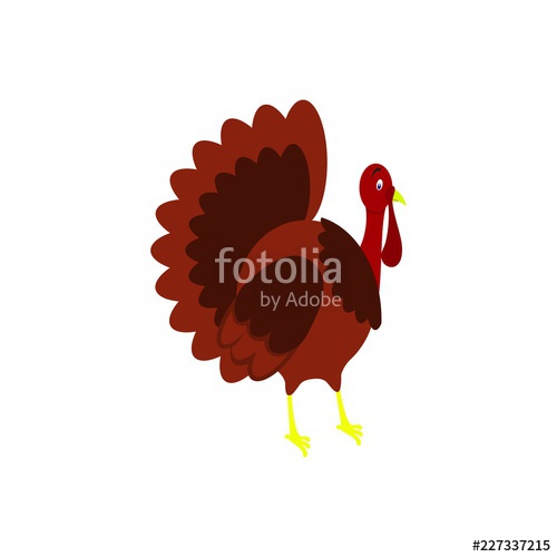 500x500 Turkey Icon Of Color Thanksgiving Of The Day Stock Image