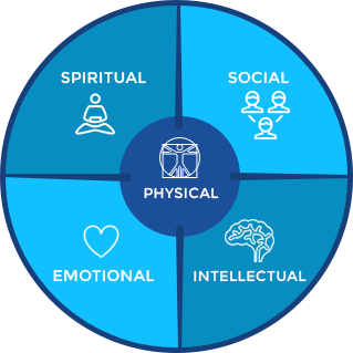 319x319 Icon Definition Health Promotion